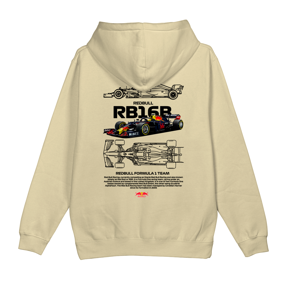 Moletom Canguru Formula 1 RedBull